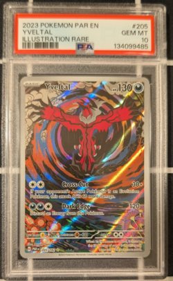 PSA 10 Yveltal 205/182 Illustration Rare Sv: Paradox Rift Pokemon TCG - Image 1