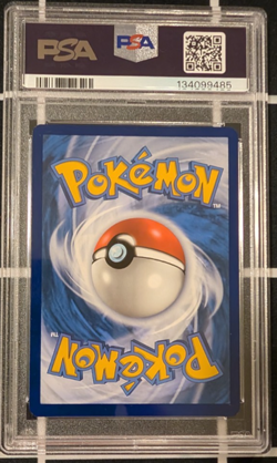 PSA 10 Yveltal 205/182 Illustration Rare Sv: Paradox Rift Pokemon TCG - Image 2