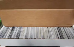 1000 MTG Magic Card Lot Collection Bulk Magic The Gathering - Image 1