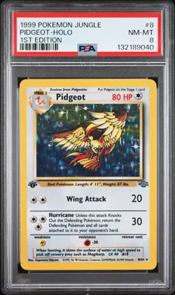 PSA 8 - Pidgeot - #8 - 1st Edition - Holo - Jungle - Pokemon Card Game - Image 1