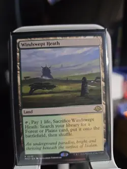 Windswept Heath Magic the Gathering Card Modern Horizons 3 - Image 1