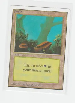 Magic the Gathering ~ MTG ~ 1x Forest (B) ~ UNLIMITED ~ M/NM ~ - Image 1