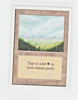 Magic the Gathering ~ MTG ~ 1x Plains (B) ~ UNLIMITED ~ M/NM ~ - Image 1