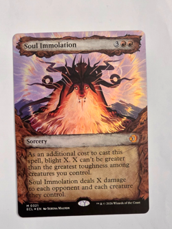 Soul Immolation - M0321 Foil (Showcase) - Lorwyn Eclipsed - MTG - NM - Image 1