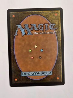 Soul Immolation - M0321 Foil (Showcase) - Lorwyn Eclipsed - MTG - NM - Image 2