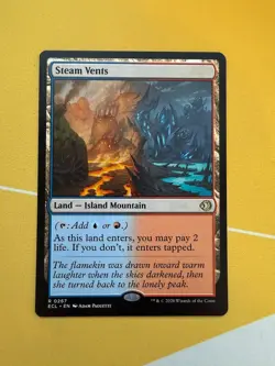 STEAM VENTS - Rare - ECL Lorwyn Eclipsed MTG Shocklands Free Shipping - Image 1