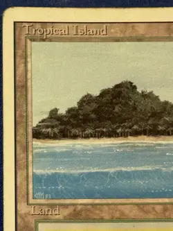 Tropical Island Revised Edition Regular MP/HP - Image 3