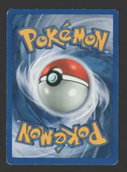 Raikou Holo Neo Revelation 13/64 ITA - Carta Pokemon Rara Olografica - Image 3