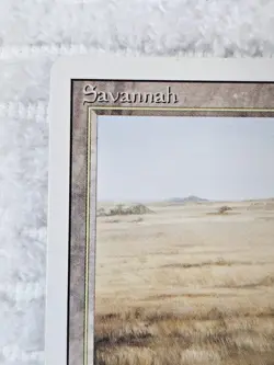 Savannah MTG Revised Dual Land Clean Front Surface Bump on Back CardVault MP VTG - Image 2