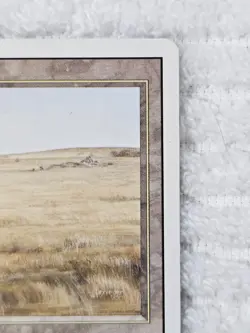 Savannah MTG Revised Dual Land Clean Front Surface Bump on Back CardVault MP VTG - Image 3