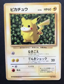 Ivy Pikachu How to Play NON-GLOSSY Promo No. 025 Japanese Pokemon Card PLAYED - Image 1