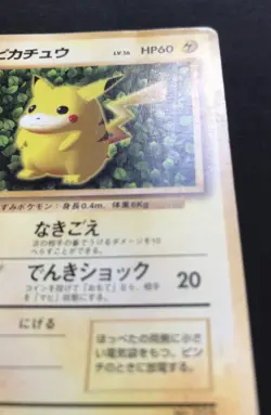 Ivy Pikachu How to Play NON-GLOSSY Promo No. 025 Japanese Pokemon Card PLAYED - Image 5
