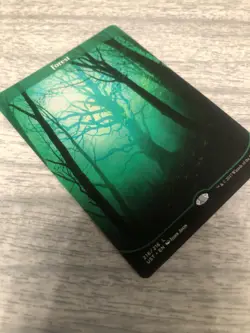 MTG English Forest NM Normal Unstable - FREE SHIPPING - Image 2