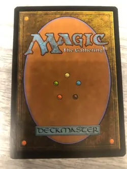 MTG English Forest NM Normal Unstable - FREE SHIPPING - Image 4