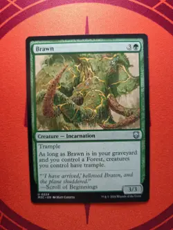 Brawn (NM) MTG Discount: 5+ Magic Singles - Image 1