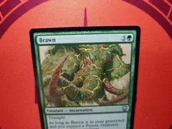 Brawn (NM) MTG Discount: 5+ Magic Singles - Image 3