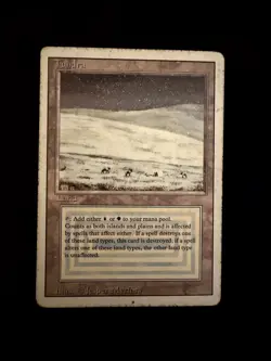 Tundra - Revised - MTG Magic The Gathering - VHP - Image 1