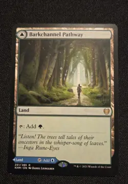 MTG - Barkchannel Pathway / Tidechannel - Kaldheim - Near Mint Rare 251 Non Foil - Image 1