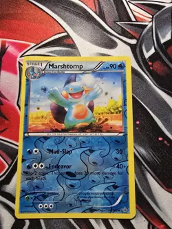 Marshtomp 34/160 XY - Primal Clash Reverse Holo - Pokemon Card MP - Image 1