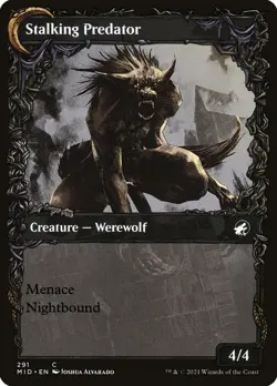 Shady Traveler (Showcase) #291 (Foil) (NM) Midnight Hunt MID Magic MTG - Image 2