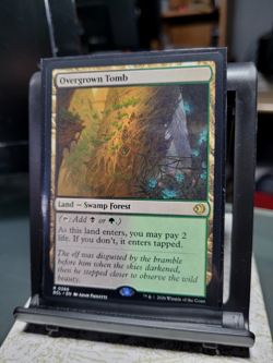 Lorwyn Eclipsed Overgrown Tomb 0266, NM, Non-Foil, Pack Fresh, Ships Quickly - Image 2
