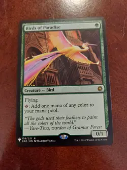 MTG Birds of Paradise Mystery Booster Conspiracy: Take The Crown Card 176/221 NM - Image 1