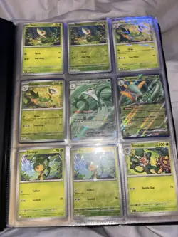 Pokemon TCG Near Master Set Black Bolt - 2 Masterballs + 1 Reverse Ball + Binder - Image 1