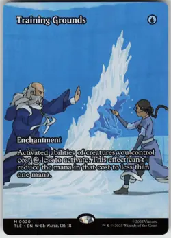 MTG Training Grounds (Borderless) Normal NM Avatar: The Last Airbender: Magic 20 - Image 1
