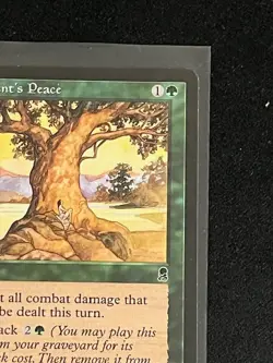 Moment's Peace Odyssey Magic The Gathering - Image 3