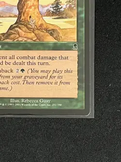 Moment's Peace Odyssey Magic The Gathering - Image 4