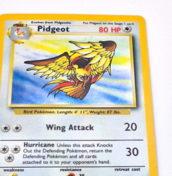 Pokemon TCG Card 1999 Jungle Pidgeot Holo Rare 8/64 WOTC Unlimited Vintage - Image 4