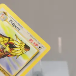 Pokemon TCG - Pidgeot 24/64 Jungle Rare 1st Edition WOTC 1999 - DMG - Image 4