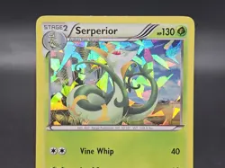 Pokemon TCG Serperior 2011 Black & White Cracked Ice Holo Card 5/114 RARE - Image 4