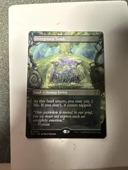 Overgrown Tomb (Borderless) Lorwyn Eclipsed Regular - Image 1