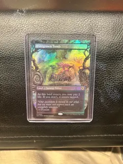 Overgrown Tomb (Borderless) Lorwyn Eclipsed Foil - Image 1
