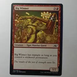 Big Winner Unfinity Regular - Image 1