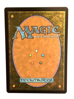 MTG - Wanderwine Prophets (Borderless) Special Guests / Regular / NM - Image 2