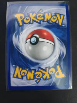Pokemon Eevee TCG Black Star Holo Card 11 WOTC Promo - Image 2
