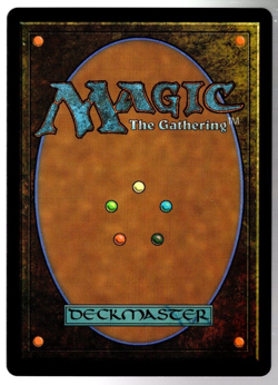 Wastes 0795 Borderless Rainbow Foil Fallout Secret Lair MTG Near Mint - Image 2