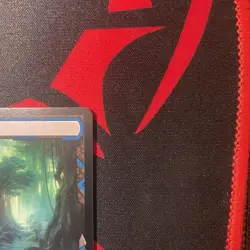 MTG Misty Rainforest Zendikar Rising Expedition 010/030 - Image 4