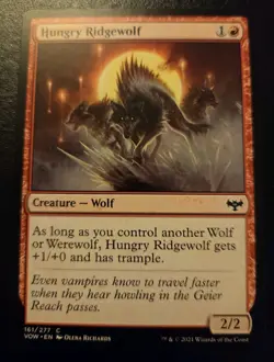 Hungry Ridgewolf 161/277 Common Innistrad: Crimson Vow Magic: The Gathering - Image 1