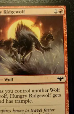 Hungry Ridgewolf 161/277 Common Innistrad: Crimson Vow Magic: The Gathering - Image 3