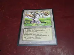 Magic the Gathering: MTG: Legends: Pendelhaven - Image 1