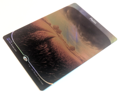 Plains (Foil, Unstable) - Magic the Gathering, Full Art - Image 3