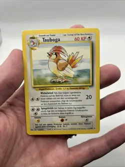 GERMAN 22/102 Tauboga - Pidgeotto Base Set WOTC Pokemon TCG Rare Non-Holo MP - Image 3