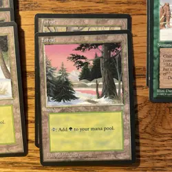 MTG: Vintage ‘95 Ice Age 12 Cards With 7 Snow Covered Forests - Image 2
