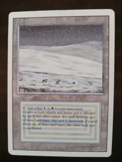 MTG Tundra Revised Edition - NM Condition - Image 1