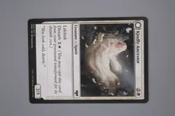 Kindly Ancestor // Ancestor's Embrace (022) Innistrad: Crimson Vow VOW MTG Magic - Image 3
