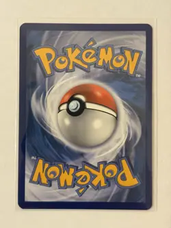 Noctowl SWSH027 Pokemon *SWIRL* Sword & Shield Promo NM - Image 3