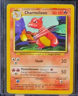 Pokemon TCG Charmeleon Base Set, Shadowless Uncommon Card 24/102 - Image 1